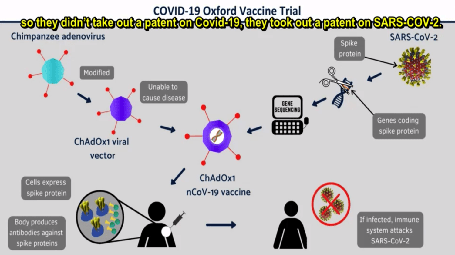 ChAdOx1 n-Cov-19 Oxford Vaccine Trial.png